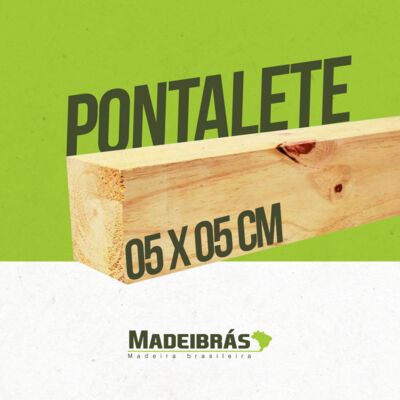 PONTALETE PINUS 5 X 5 CM 